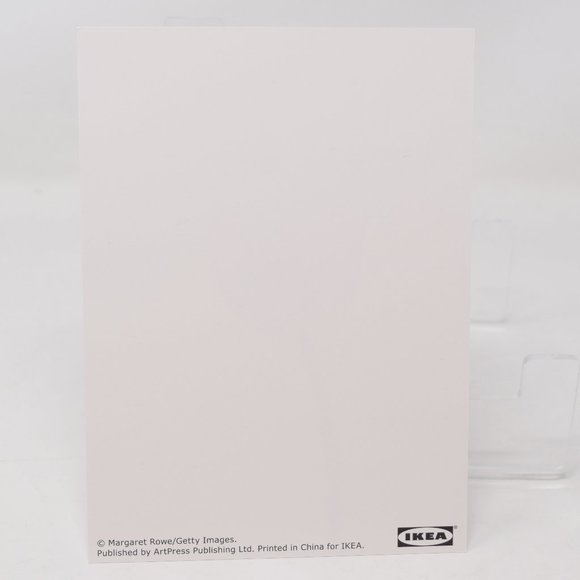 IKEA Kort Art Cards 5x7" Flora Set of 5 Floral Flowers Gallery Prints Retired - Picture 11 of 15